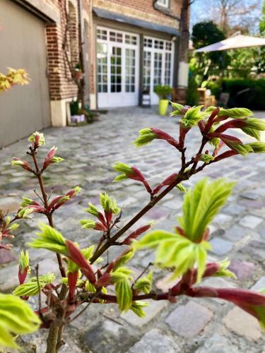 Bed & Breakfast La Parenthese Du Rond Royal