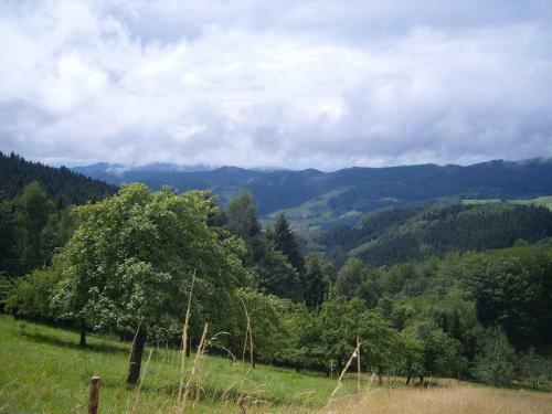 Apartamento Langenberghof