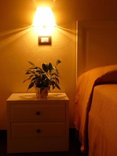 Hostal La Gerbera
