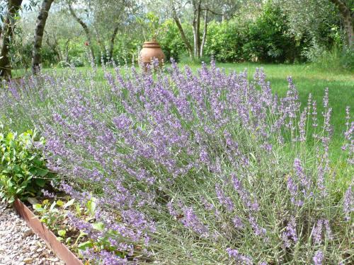 Agroturismo La Capannaccia