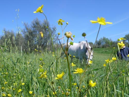 Agroturismo La Capannaccia