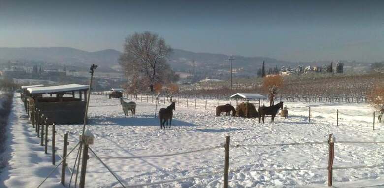 Agroturismo La Capannaccia