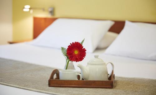Gran Hotel Paysand�