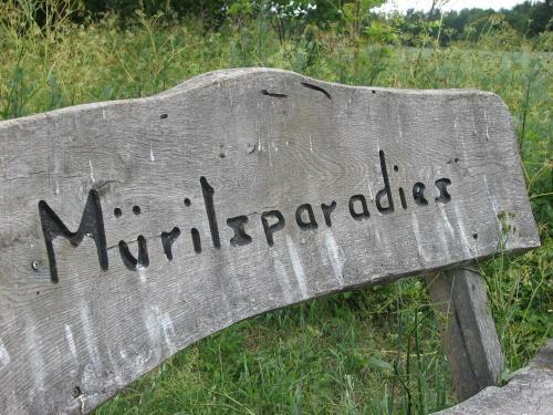M�ritzparadies