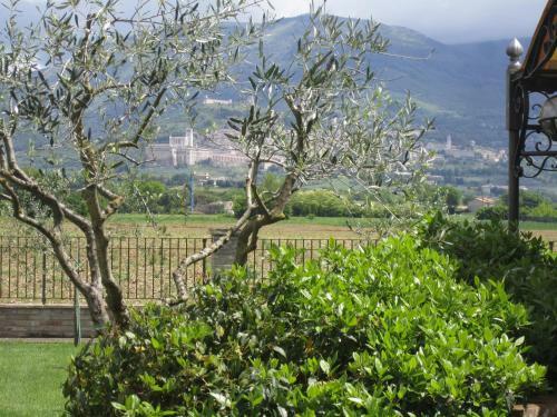 Bed & Breakfast La Strada Di Francesco D'assisi