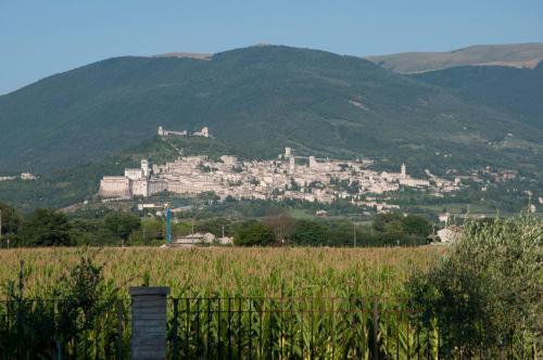 Bed & Breakfast La Strada Di Francesco D'assisi