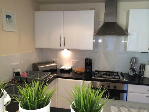 Kelvingrove Apartment