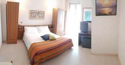 Hotel Ribot