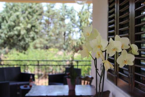 Anna Rita Alghero B&B