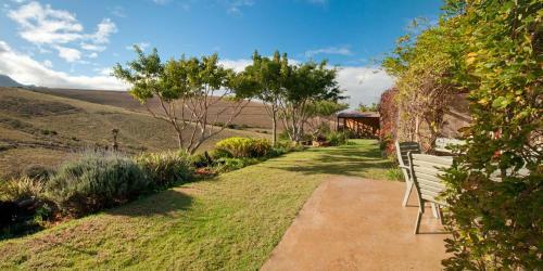 Bed & Breakfast Vrede Vallei