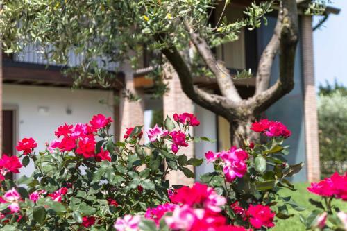 Hotel Relais Agli Olivi