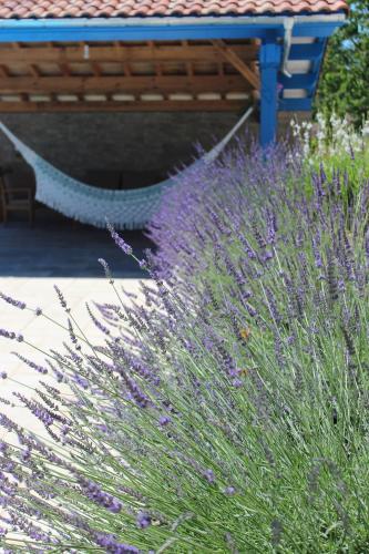 Bed & Breakfast Chambre D'h�tes Au Sargaillon