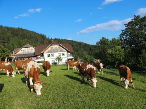 Agroturismo Dorfergut