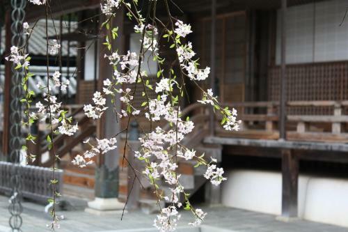 Koyasan Onsen Fukuchiin