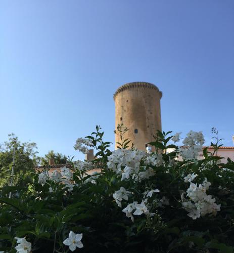 Bed & Breakfast I Due Principi