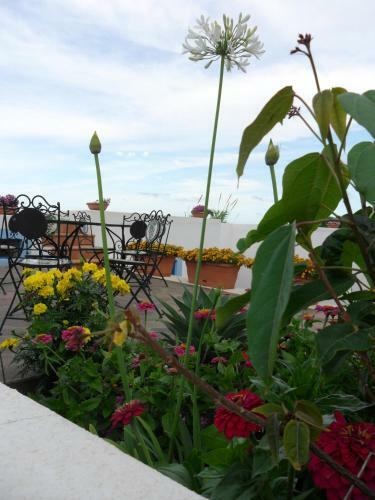 Hotel Punta Barone
