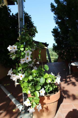 Hotel Albergo La Pieve