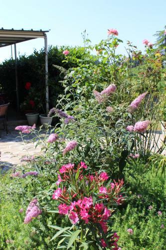 Hotel Albergo La Pieve