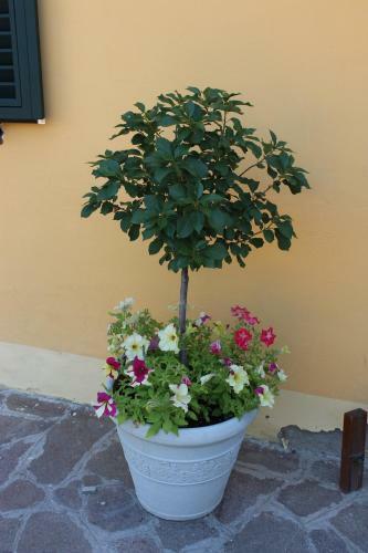 Hotel Albergo La Pieve