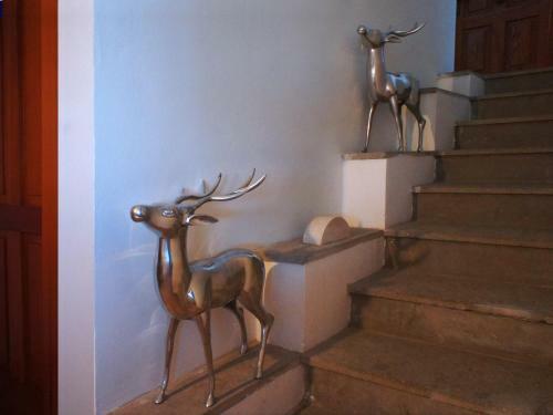 Hostal Villa Di Papa'