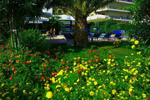 Hotel Miramare Silvi