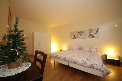 B&B La Rosa Blu