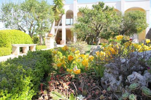 B&B La Rosa Blu