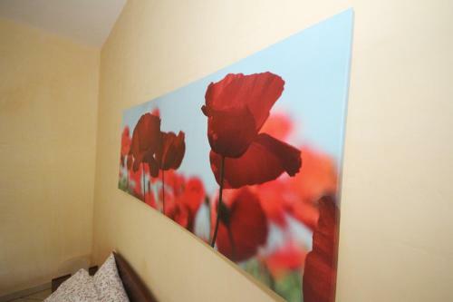 B&B La Rosa Blu