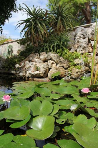 B&B La Rosa Blu