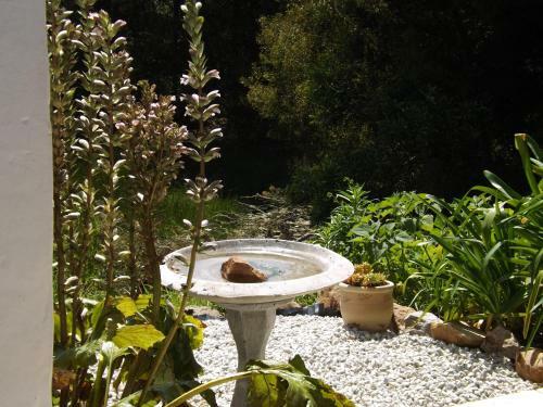 Agroturismo Masescha Country Estate