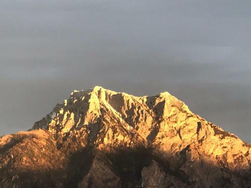 Apartment Parkvilla Traunsee