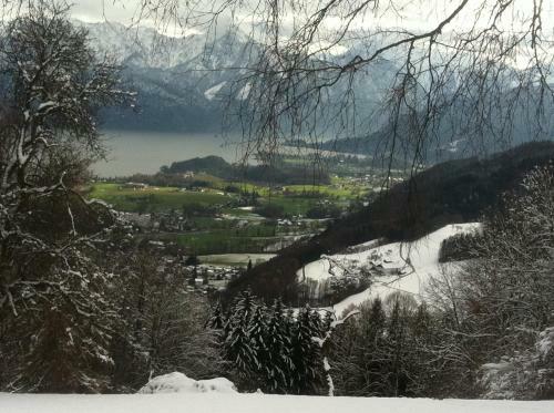 Apartment Parkvilla Traunsee