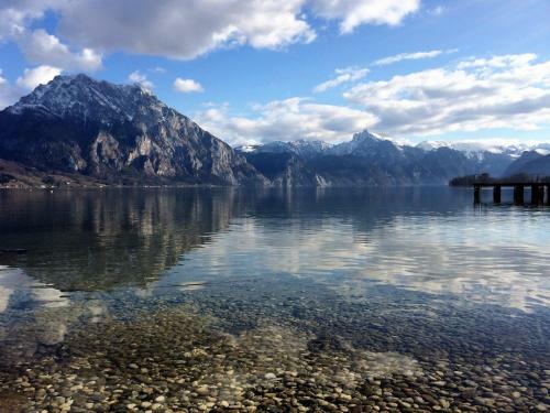 Apartment Parkvilla Traunsee