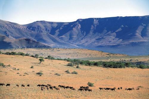 Samara Private Game Reserve Karoo Lodge