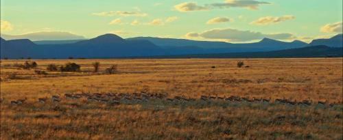 Samara Private Game Reserve Karoo Lodge