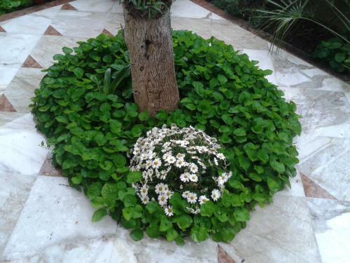 Eco Bed & Breakfast I Due Oleandri