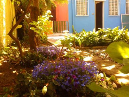 Eco Bed & Breakfast I Due Oleandri