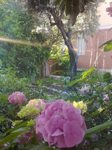 Eco Bed & Breakfast I Due Oleandri