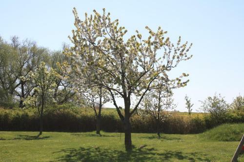Hostal Pension Landhaus Teichgraf