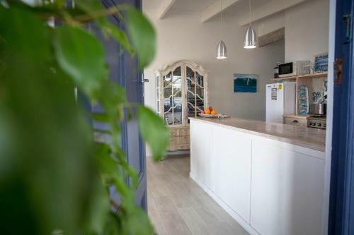 Palm Villa Cottage