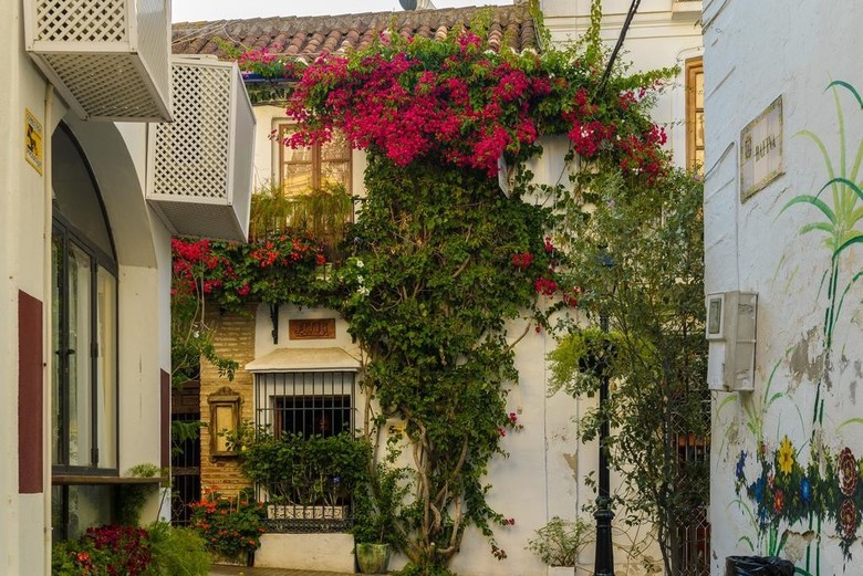 Hostal Pensi�n Aduar
