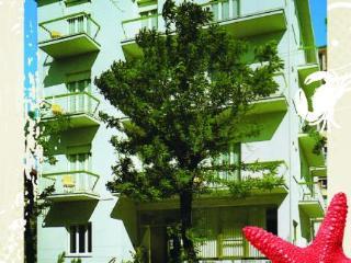Hotel Camelia