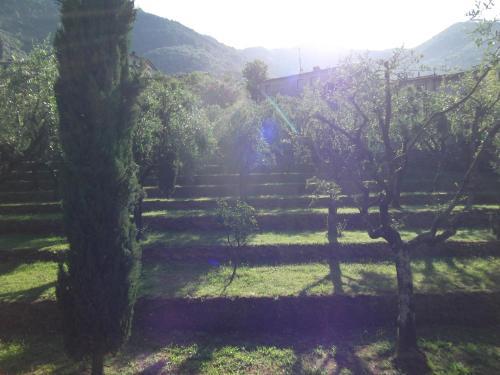 Agroturismo L'arcadia
