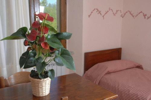 Hotel Residence Sant'uberto