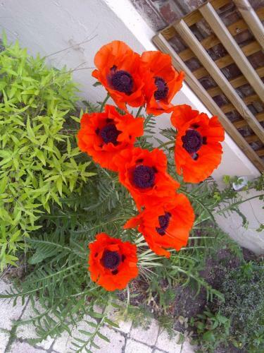 Bed & Breakfast Le Mascaret