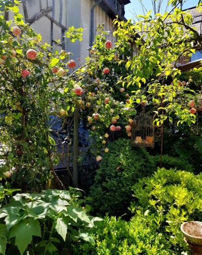 Bed & Breakfast La Cour Sainte Catherine
