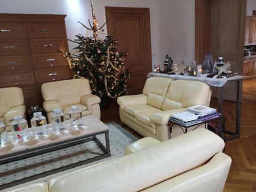 Bed & Breakfast Villa Ariane