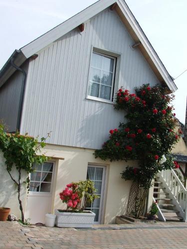 Apartamento Gite Les Orchid�es