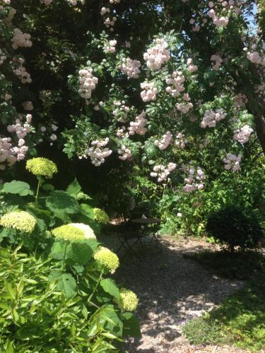Bed & Breakfast Logis Saint-l�onard