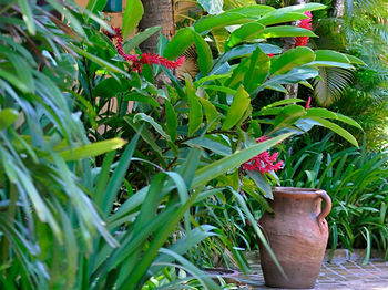 Hostal Pousada Fragata